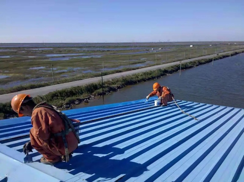 宣恩钢结构屋面漏水原因